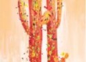 ‘Love Affair’ with the Desert: Diana Madaras shows the colorful side of Tucson