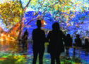 Era of the Impressionist: Show takes patrons through the world of Monet